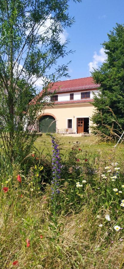 Ferienhof-Kuehn Hochkirch Bagian luar foto
